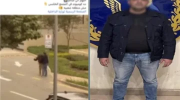 شاهد توثيق اعتداء صاحب مصنع على فرد أمن في كمبوند بالقاهرة الجديدة